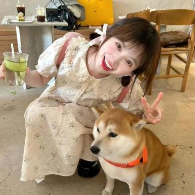 狼影传奇